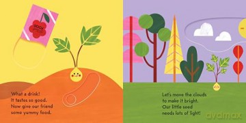 Grow, Seed, Grow!: Grow a Tree Right in the Book! - Caroline Derlatke [KSIĄŻKA]