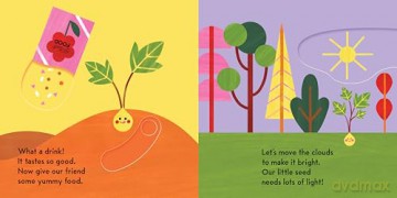Grow, Seed, Grow!: Grow a Tree Right in the Book! - Caroline Derlatke [KSIĄŻKA]