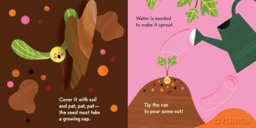Grow, Seed, Grow!: Grow a Tree Right in the Book! - Caroline Derlatke [KSIĄŻKA]