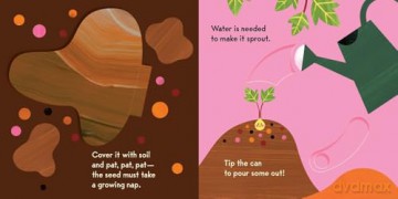 Grow, Seed, Grow!: Grow a Tree Right in the Book! - Caroline Derlatke [KSIĄŻKA]