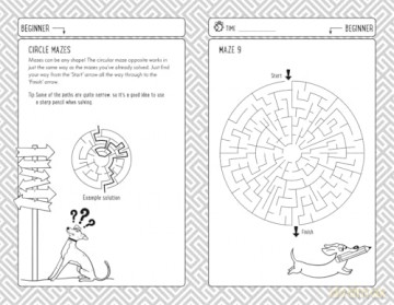Mazes for Clever Kids: More than 100 puzzles to boost your brainpower (Buster Brain Games) - Dr Gareth Moore [KSIĄŻKA]