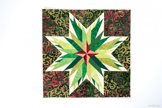 Carol Doak's Starry Block of the Month: 12 Paper-Pieced Quilt Blocks, 3 Projects - Carol Doak [KSIĄŻKA]