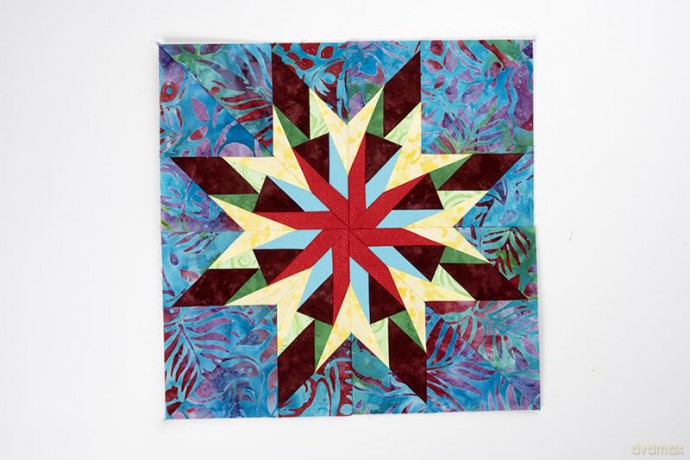 Carol Doak's Starry Block of the Month: 12 Paper-Pieced Quilt Blocks, 3 Projects - Carol Doak [KSIĄŻKA]