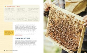Beekeeping for Beginners: How To Raise Your First Bee Colonies - Amber Bradshaw [KSIĄŻKA]