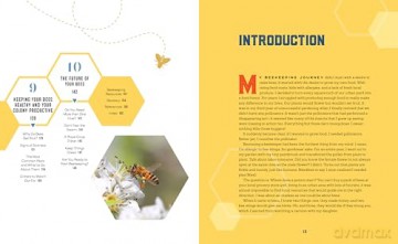 Beekeeping for Beginners: How To Raise Your First Bee Colonies - Amber Bradshaw [KSIĄŻKA]