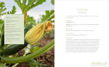 Raised-Bed Gardening for Beginners: Everything You Need to Know to Start and Sustain a Thriving Garden - Tammy Wylie [KSIĄŻKA]