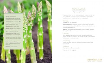Raised-Bed Gardening for Beginners: Everything You Need to Know to Start and Sustain a Thriving Garden - Tammy Wylie [KSIĄŻKA]