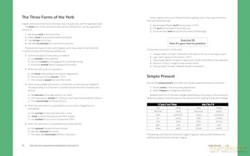 The English Grammar Workbook for Adults: A Self-Study Guide to Improve Functional Writing - Michael DiGiacomo [KSIĄŻKA]
