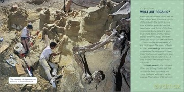 Fossils for Kids: A Junior Scientist's Guide to Dinosaur Bones, Ancient Animals, and Prehistoric Life on Earth - Ashley Hall [KSIĄŻKA]