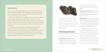 Fossils for Kids: A Junior Scientist's Guide to Dinosaur Bones, Ancient Animals, and Prehistoric Life on Earth - Ashley Hall [KSIĄŻKA]