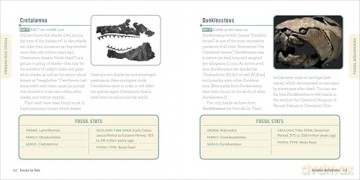 Fossils for Kids: A Junior Scientist's Guide to Dinosaur Bones, Ancient Animals, and Prehistoric Life on Earth - Ashley Hall [KSIĄŻKA]