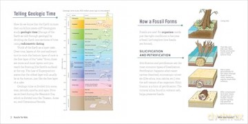 Fossils for Kids: A Junior Scientist's Guide to Dinosaur Bones, Ancient Animals, and Prehistoric Life on Earth - Ashley Hall [KSIĄŻKA]