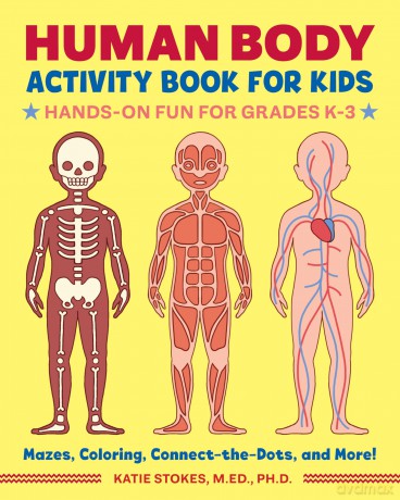 Human Body Activity Book for Kids: Hands-On Fun for Grades K-3 - Katie Stokes [KSIĄŻKA]