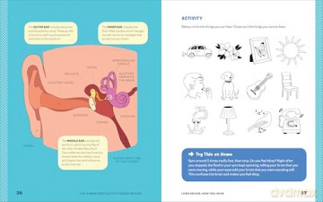 Human Body Activity Book for Kids: Hands-On Fun for Grades K-3 - Katie Stokes [KSIĄŻKA]