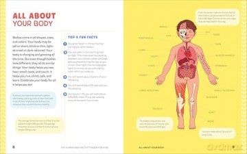 Human Body Activity Book for Kids: Hands-On Fun for Grades K-3 - Katie Stokes [KSIĄŻKA]