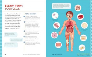 Human Body Activity Book for Kids: Hands-On Fun for Grades K-3 - Katie Stokes [KSIĄŻKA]