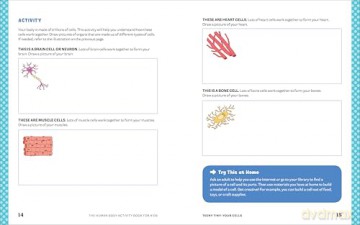 Human Body Activity Book for Kids: Hands-On Fun for Grades K-3 - Katie Stokes [KSIĄŻKA]