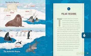 Ocean Activities for Kids: 20 Hands-On Projects to Explore the Sea (Science Scouts) - Laura Petrusic [KSIĄŻKA]