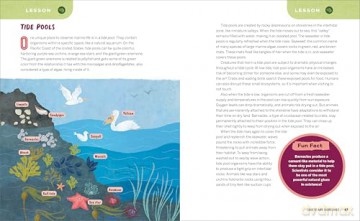 Ocean Activities for Kids: 20 Hands-On Projects to Explore the Sea (Science Scouts) - Laura Petrusic [KSIĄŻKA]