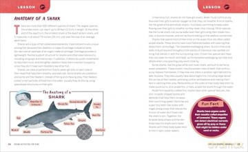 Ocean Activities for Kids: 20 Hands-On Projects to Explore the Sea (Science Scouts) - Laura Petrusic [KSIĄŻKA]