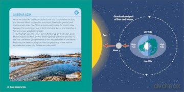 Ocean Animals for Kids: A Junior Scientist's Guide to Whales, Sharks, and Other Marine Life - Bethanie Hestermann [KSIĄŻKA]