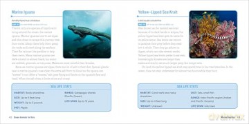 Ocean Animals for Kids: A Junior Scientist's Guide to Whales, Sharks, and Other Marine Life - Bethanie Hestermann [KSIĄŻKA]
