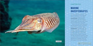 Ocean Animals for Kids: A Junior Scientist's Guide to Whales, Sharks, and Other Marine Life - Bethanie Hestermann [KSIĄŻKA]