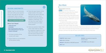 Ocean Animals for Kids: A Junior Scientist's Guide to Whales, Sharks, and Other Marine Life - Bethanie Hestermann [KSIĄŻKA]