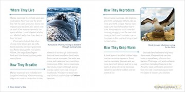 Ocean Animals for Kids: A Junior Scientist's Guide to Whales, Sharks, and Other Marine Life - Bethanie Hestermann [KSIĄŻKA]