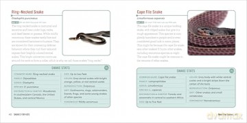 Snakes for Kids: A Junior Scientist's Guide to Venom, Scales, and Life in the Wild - Michael Starkey [KSIĄŻKA]