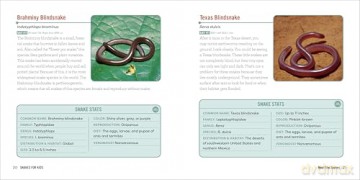Snakes for Kids: A Junior Scientist's Guide to Venom, Scales, and Life in the Wild - Michael Starkey [KSIĄŻKA]