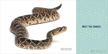 Snakes for Kids: A Junior Scientist's Guide to Venom, Scales, and Life in the Wild - Michael Starkey [KSIĄŻKA]