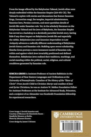 Babylonian Jews and Sasanian Imperialism in Late Antiquity - Simcha Gross [KSIĄŻKA]