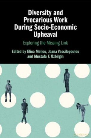 Diversity and Precarious Work During Socio-Economic Upheaval: Exploring the Missing Link - Elina Meliou [KSIĄŻKA]