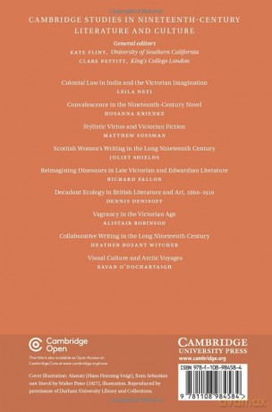 Music and the Queer Body in English Literature at the Fin de Siecle: 137 (Cambridge Studies in Nineteenth-Century Literature and Culture, Series Number 137) - Fraser Riddell [KSIĄŻKA]