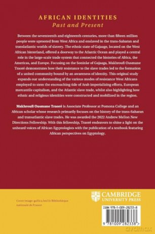 Slavery, Resistance, and Identity in Early Modern West Africa: The Ethnic-State of Gajaaga (African Identities: Past and Present) - Makhroufi Ousmane [KSIĄŻKA]