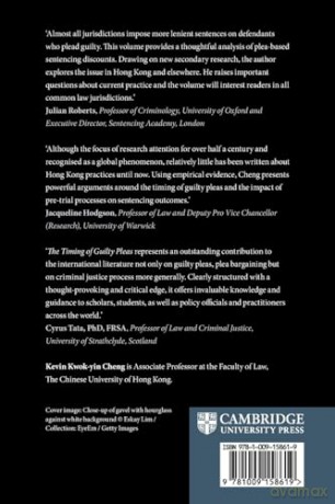 The Timing of Guilty Pleas: Lessons from Common Law Jurisdictions - Cheng [KSIĄŻKA]