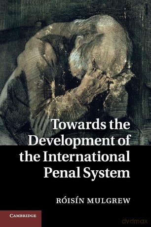 Towards the Development of the International Penal System - Róisín Mulgrew [KSIĄŻKA]