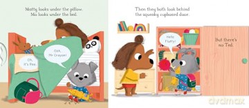 The Lost Teddy: A funny lift-the-flap story about learning to play together (Matty and Mo, 1) - Campbell Books [KSIĄŻKA]