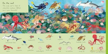 There Are 101 Sea Creatures in This Book: A Search and Find Book for Children (There Are 101, 2) - Campbell Books [KSIĄŻKA]