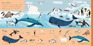 There Are 101 Sea Creatures in This Book: A Search and Find Book for Children (There Are 101, 2) - Campbell Books [KSIĄŻKA]