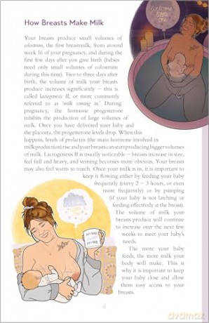 Practical Breastfeeding: An Illustrated Guide For Parents - Caoimhe Whelan [KSIĄŻKA]