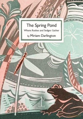 The Spring Pond: Where Rushes and Sedges Gather - Miriam Darlington [KSIĄŻKA]