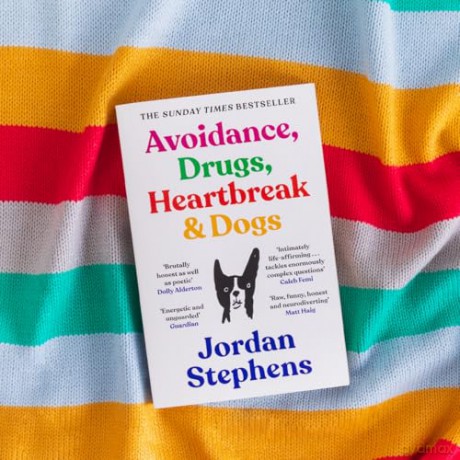 Avoidance, Drugs, Heartbreak and Dogs: THE SUNDAY TIMES BESTSELLER - Jordan Stephens [KSIĄŻKA]