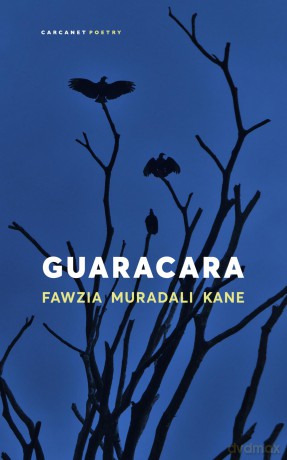 Guaracara - Fawzia Muradali Kane [KSIĄŻKA]