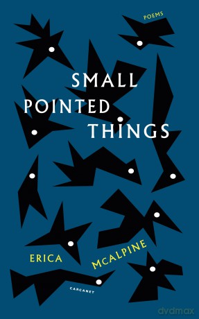 Small Pointed Things - Erica McAlpine [KSIĄŻKA]