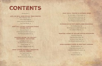 Creepy Campfire Stories: Spine-Chilling Tales to Scare and Share - Darkness Prevails [KSIĄŻKA]
