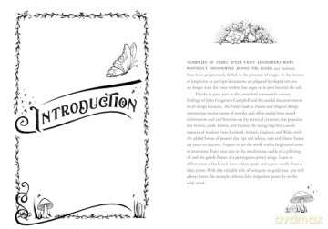 A Field Guide to Fairies and Magical Beings: Understanding, Finding, and Protecting Fae - Kayleigh Efird [KSIĄŻKA]