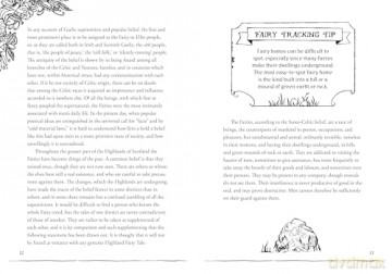A Field Guide to Fairies and Magical Beings: Understanding, Finding, and Protecting Fae - Kayleigh Efird [KSIĄŻKA]