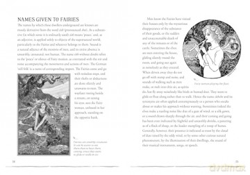 A Field Guide to Fairies and Magical Beings: Understanding, Finding, and Protecting Fae - Kayleigh Efird [KSIĄŻKA]